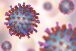 新型冠状病毒啥时候结束？